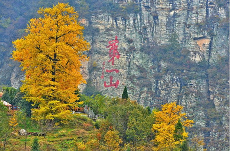 Da Yue Wudang Mountain-2