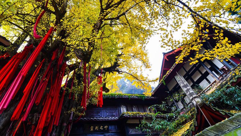 Mount Qingcheng, Sichuan-10