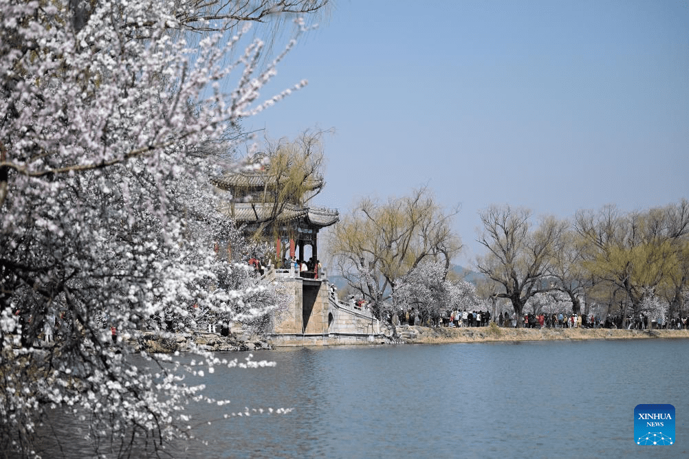 In pics: spring flowers in full bloom at Summer Palace in Beijing-3