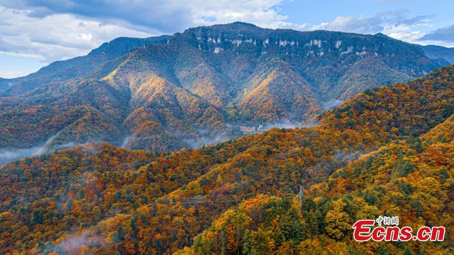 Fall colors paint Shengnongjia National Park-4