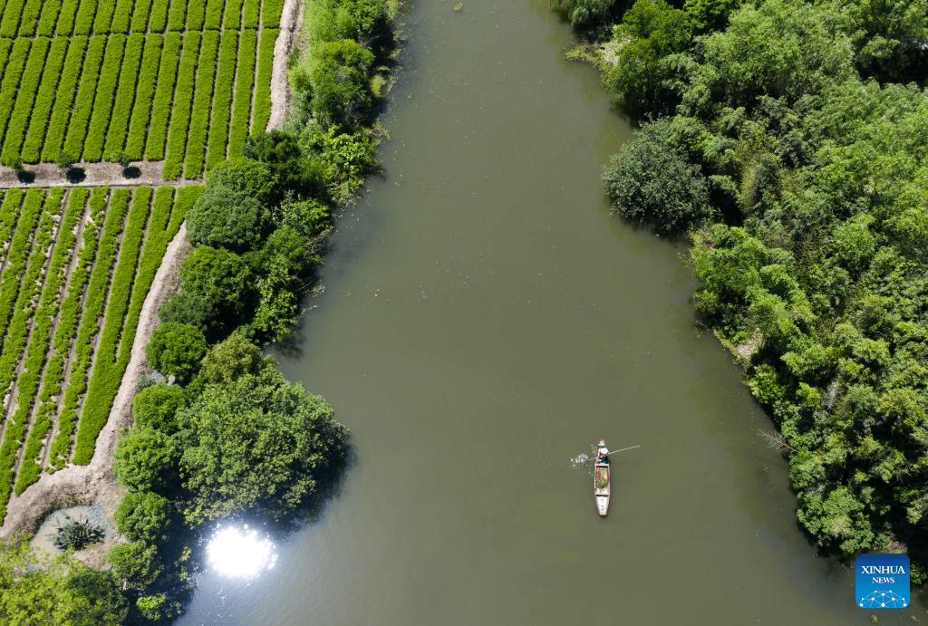 Zhejiang's national wetland park makes efforts to improve ecological environment-3