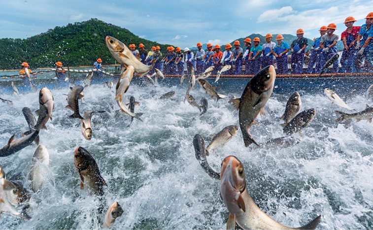 Qiandao Lake: A Thousand Isles of Serenity-4