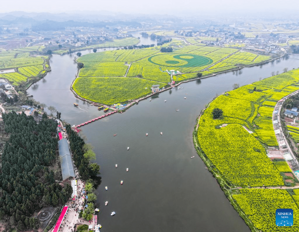 View of oilseed rape fields in Chongqing, SW China-1