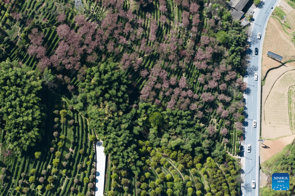 Scenery of Gouyuan Township in Xunyang, NW China's Shaanxi-6