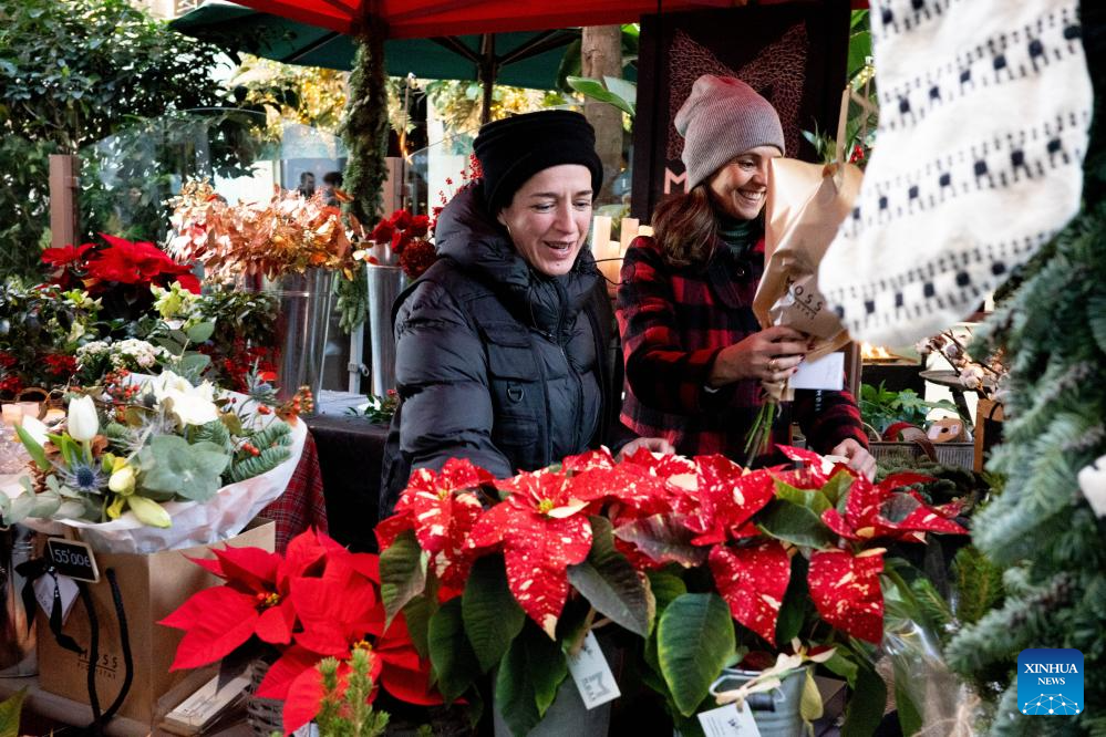 In pics: Christmas fair in Madrid, Spain-4