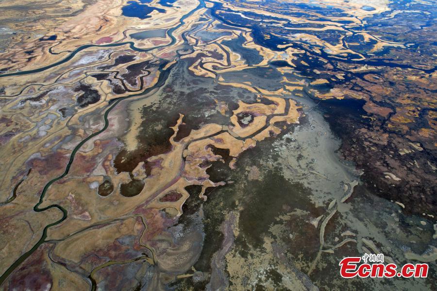 Landscape of meadow wetland in Lhasa-4