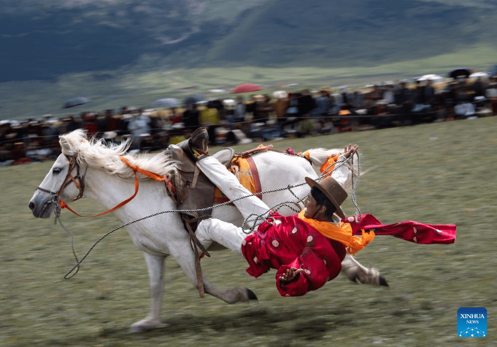 Horse racing event kicks off in SW China's Sichuan-2