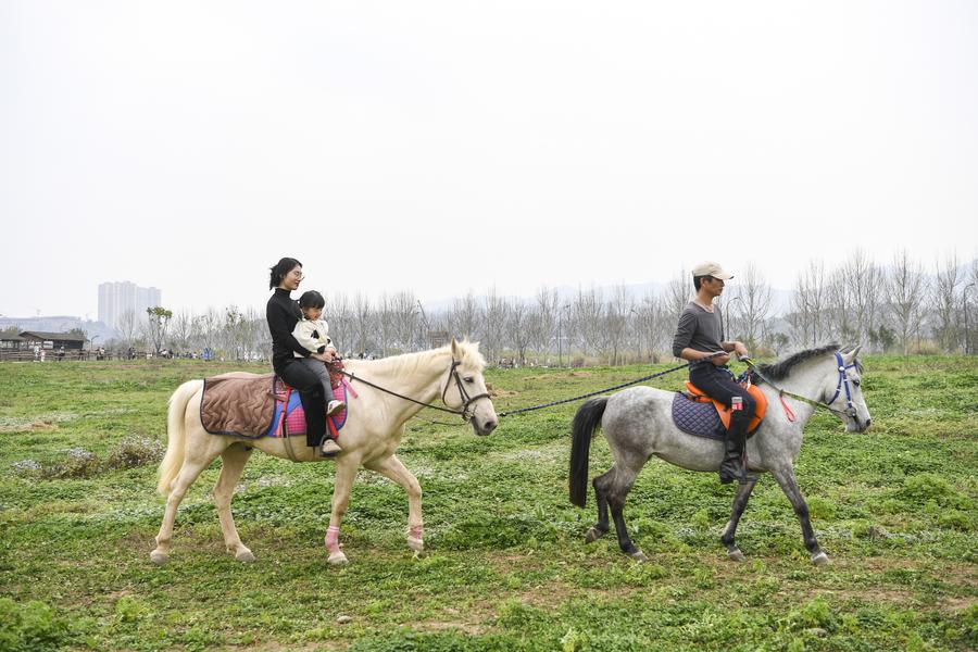 From threatened to thriving: the environmental restoration of Guangyang Isle in SW China-7