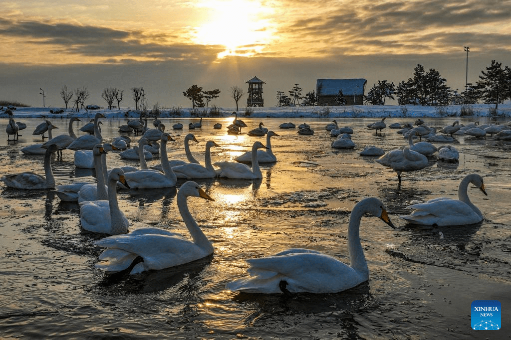 In pics: Snow scenery across China-11