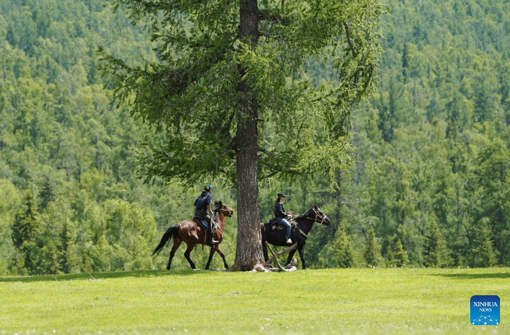 China's Altay sees booming tourism-5