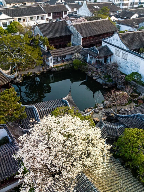 Suzhou Gardens: The Art and Soul of Chinese Classical Gardens-6