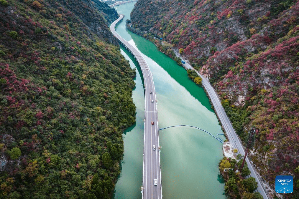 China's central region endeavours to protect eco-environment-21