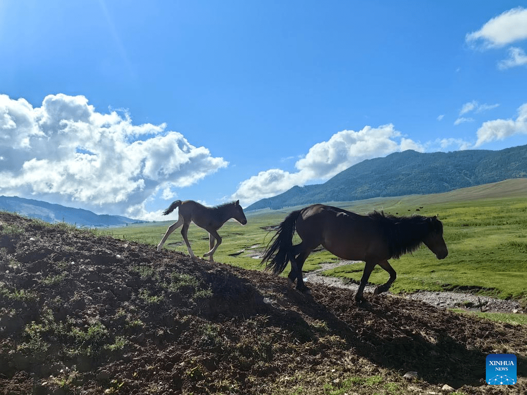 China's Altay sees booming tourism-4