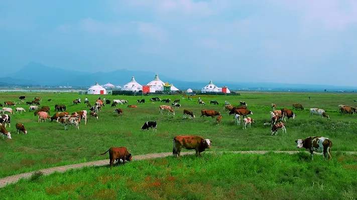 Embark on an exciting journey to Hohhot in Inner Mongolia-1