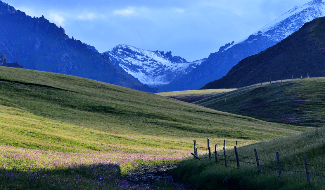 Xinjiang Tianshan-1