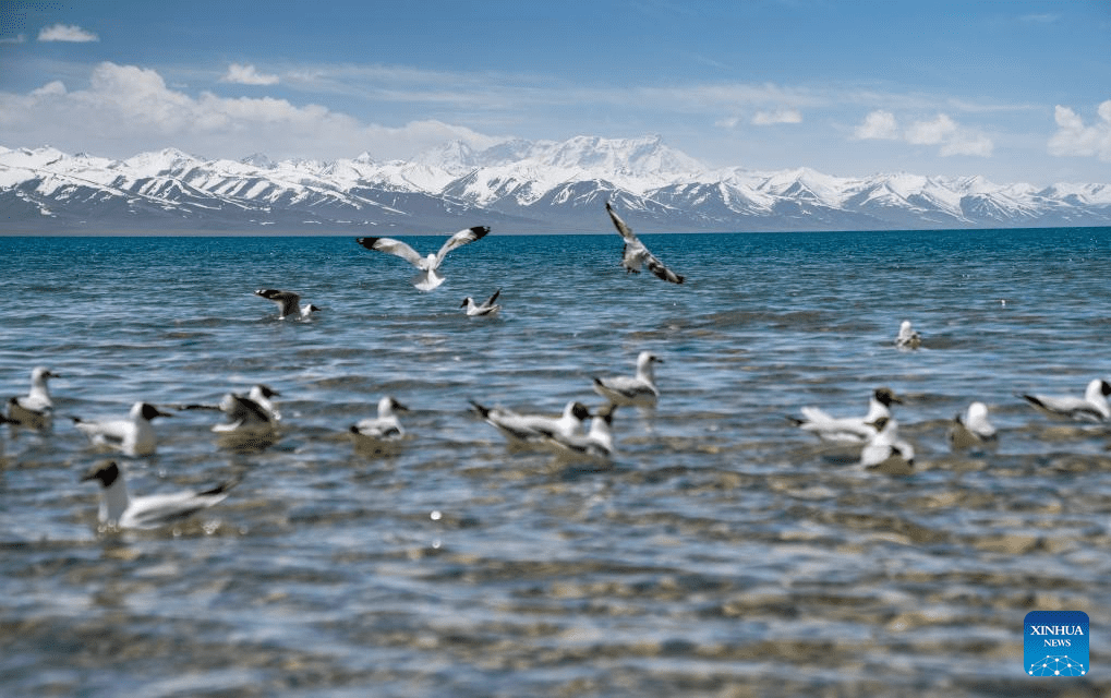 Lake Namtso to enter tourism season in Xizang-4