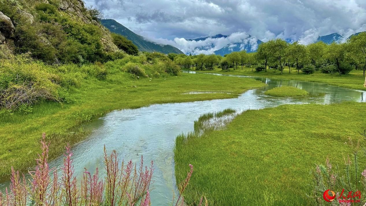 Picturesque views of Yani national wetland park in SW China's Xizang-4