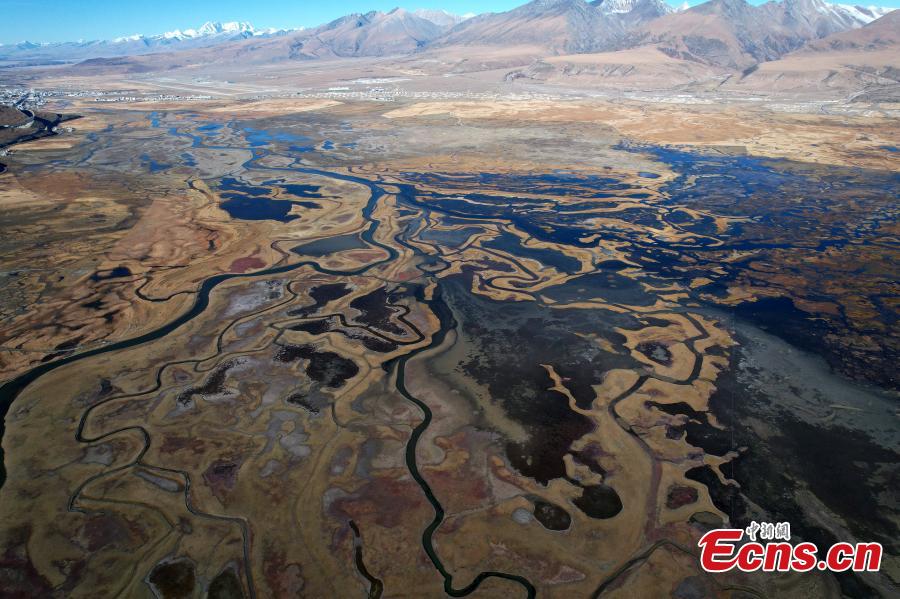 Landscape of meadow wetland in Lhasa-1