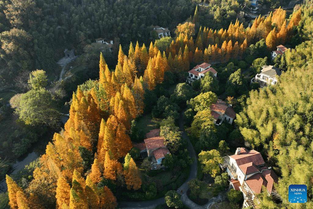 In pics: Meiling national forest park in Nanchang, E China-2