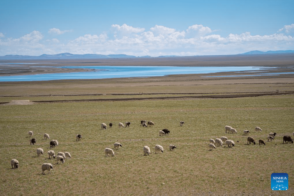 Scenery of Serling Tso Lake in SW China's Xizang-1