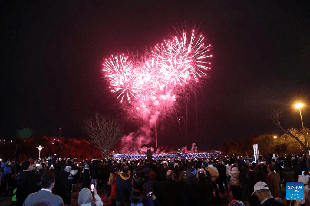 People watch firework show in Tehran, Iran-5