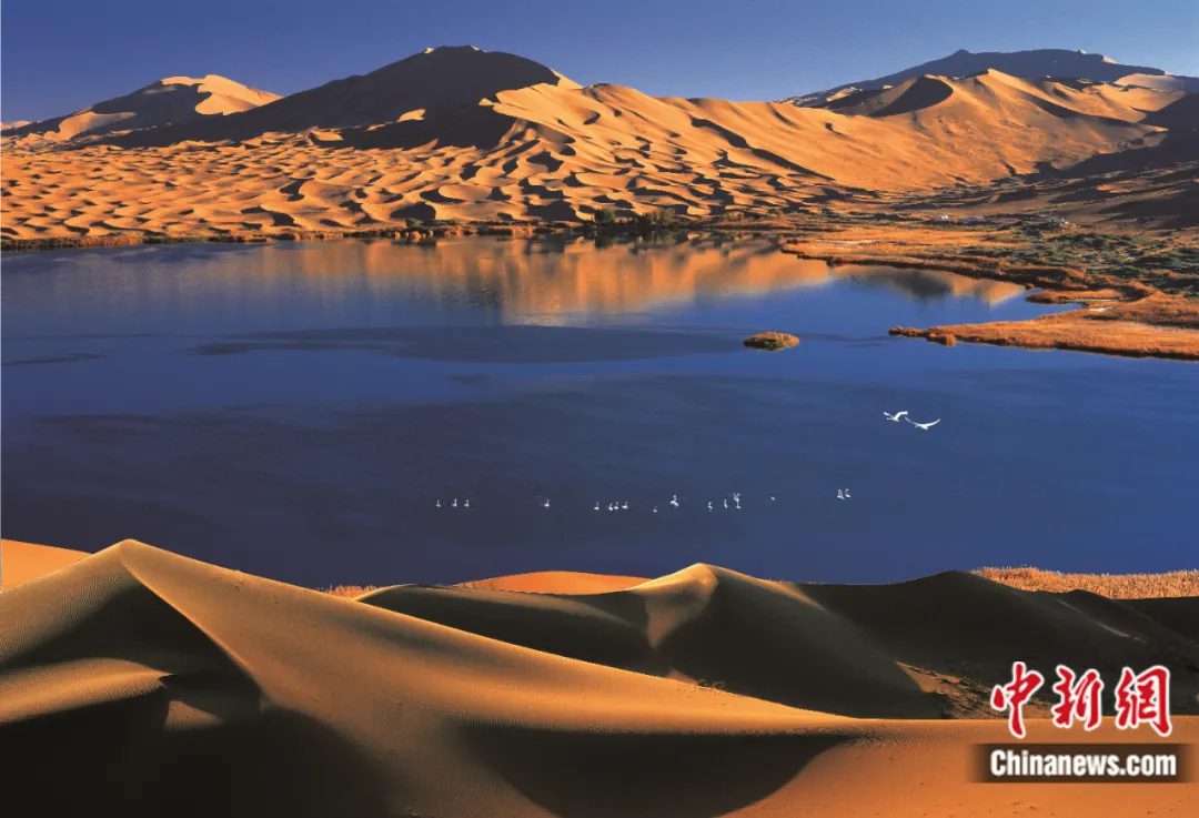 China's Badain Jaran Desert: A must-visit wonder on the UNESCO World Heritage List-6