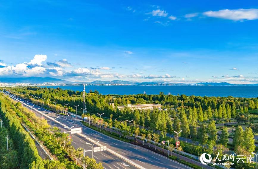 A glimpse into beautiful wetlands in Dianchi Lake, SW China-1