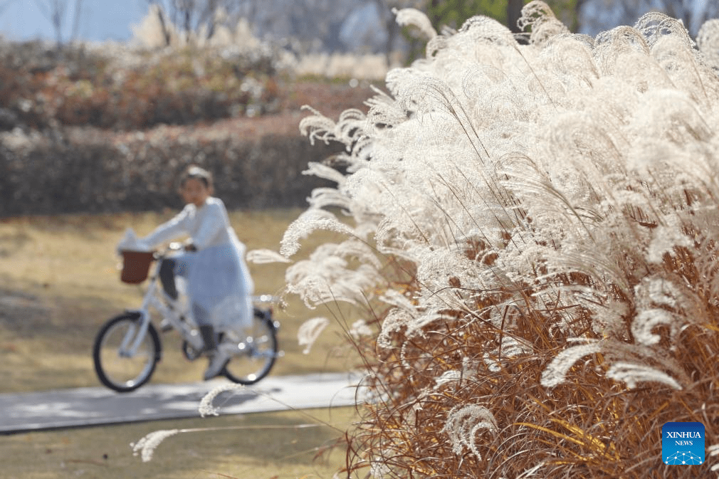 Winter scenery of China-8