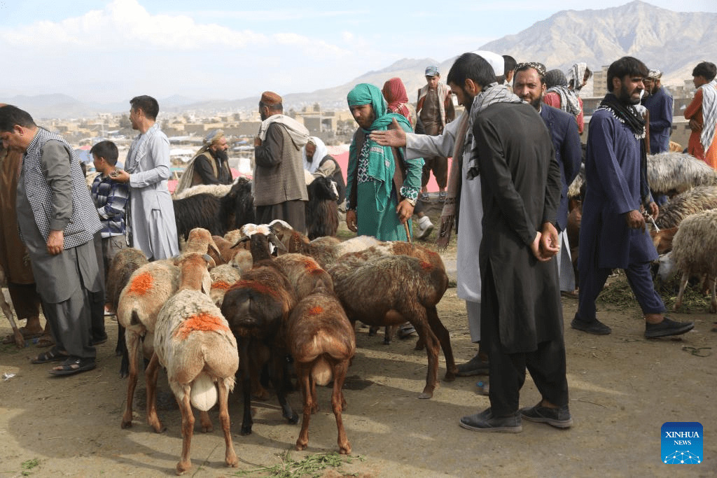 Chinese team holds heritage protection class for Afghan students-5