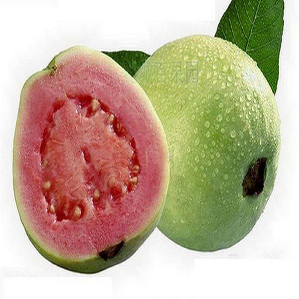 Panzhihua Redheart Fruit-1