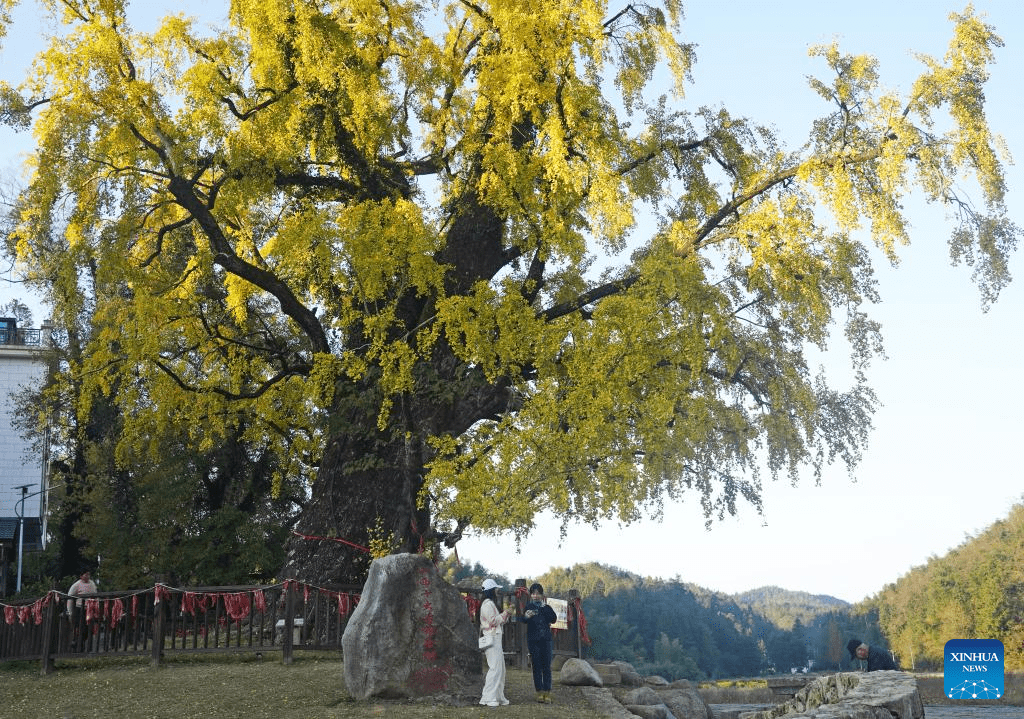 In pics: Meiling national forest park in Nanchang, E China-1