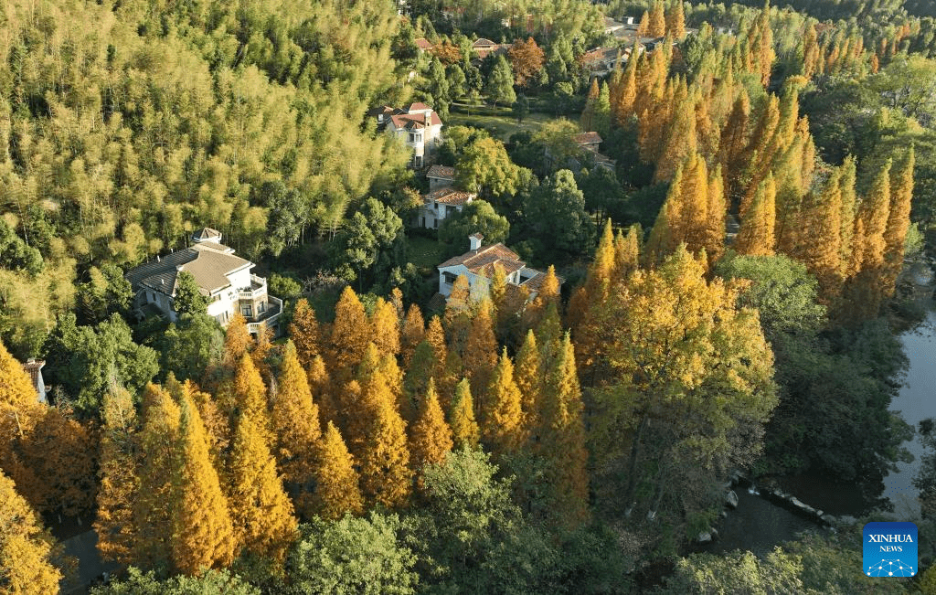 In pics: Meiling national forest park in Nanchang, E China-4