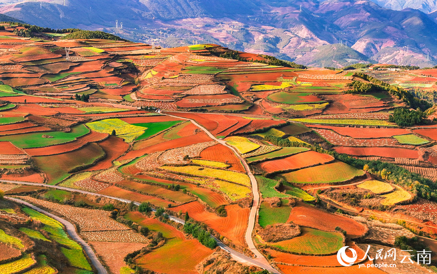 In pics: Colorful terraced fields in SW China's Yunnan resemble palette-3