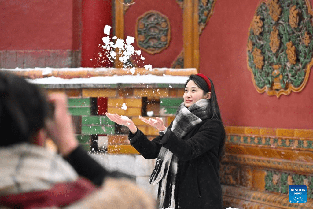 Tourists visit Palace Museum in snow in Beijing-1