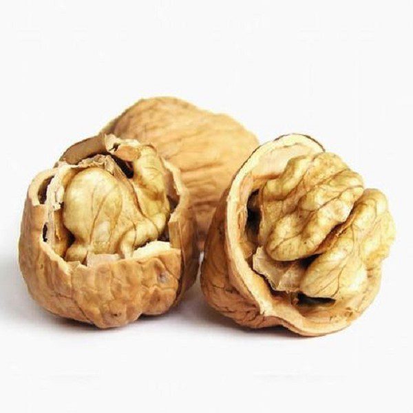 Luding Walnut-1