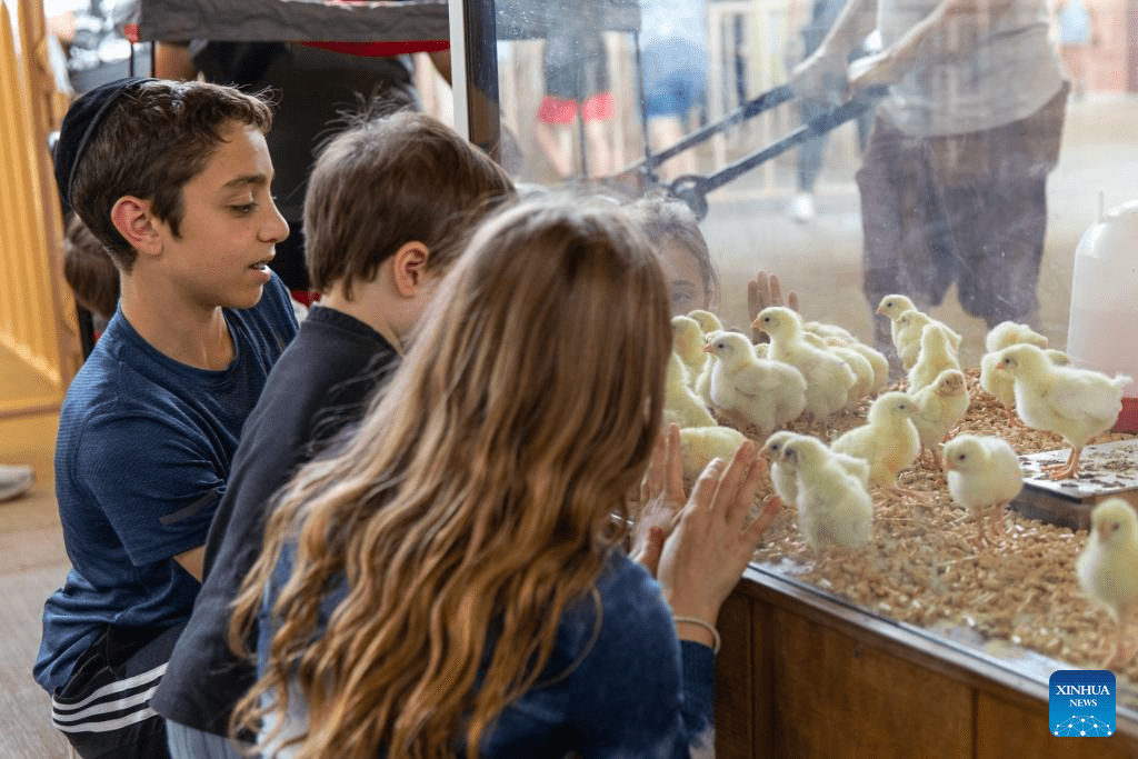 Annual State Fair of Texas held in Dallas-4