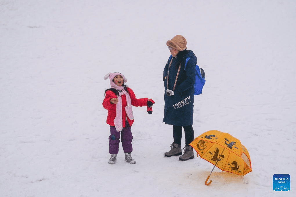 Tourists visit Palace Museum in snow in Beijing-27