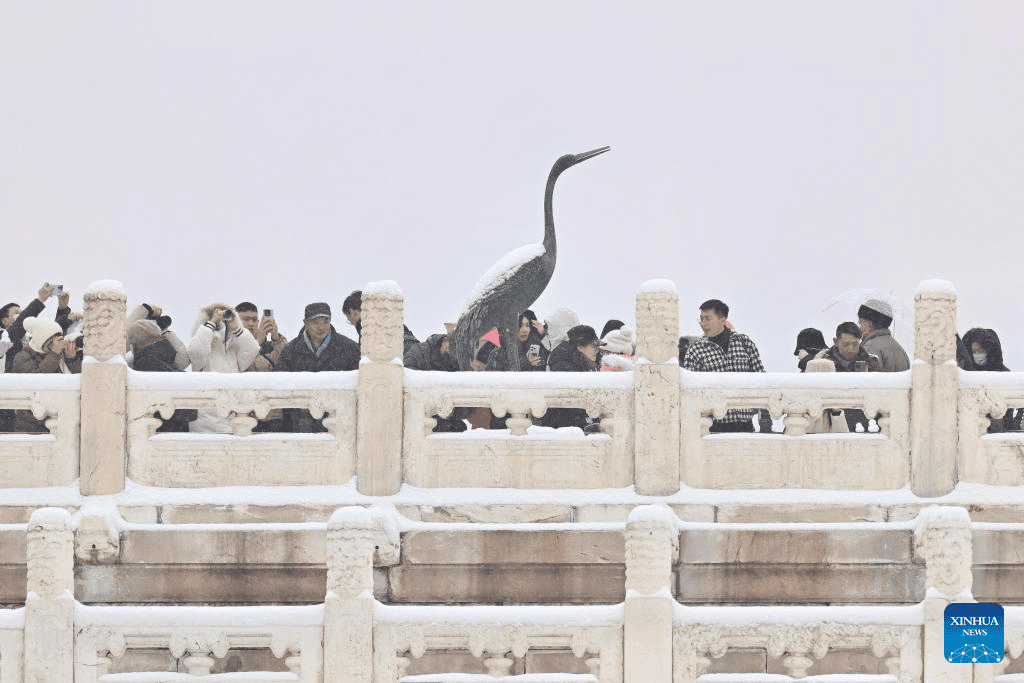 Tourists visit Palace Museum in snow in Beijing-17