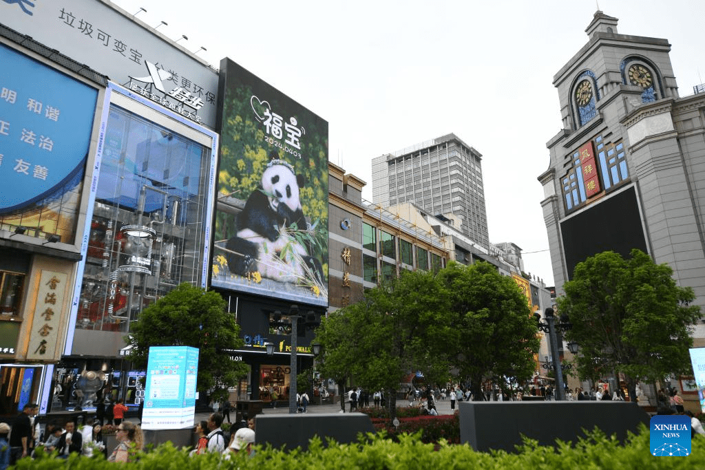 ROK-born giant panda Fu Bao returns to China-8