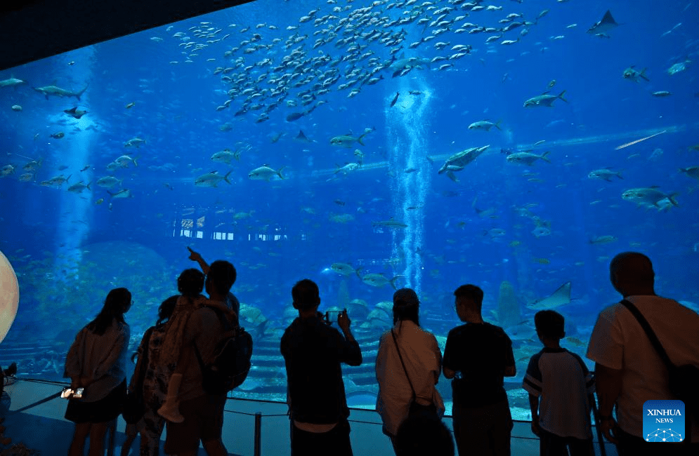 S China's Sanya sees tourism boom during National Day holiday-4