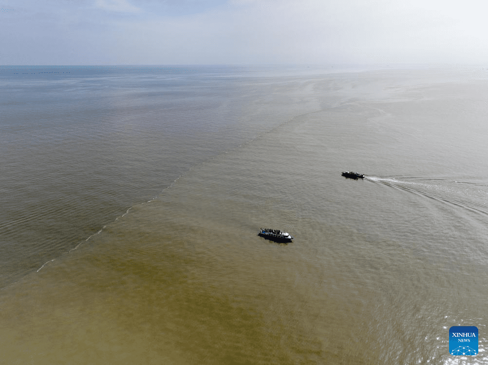 View of Yellow River estuary in Dongying, east China's Shandong-5