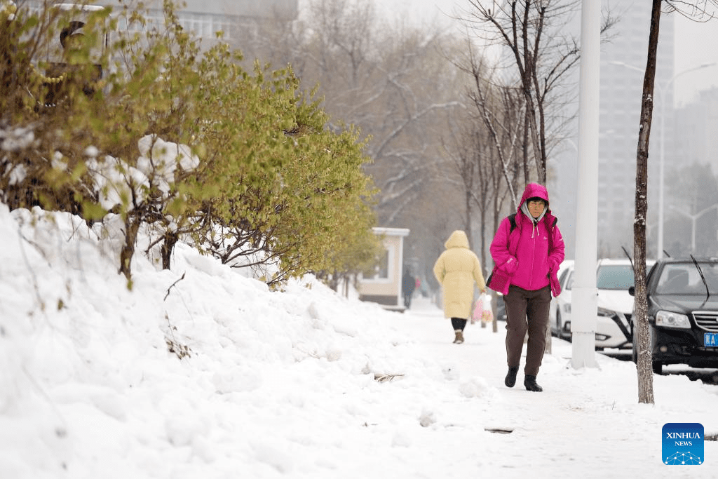 View of snow-covered Harbin in NE China-2