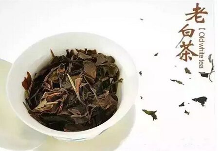 Which Teas Improve and Become More Aromatic With Age?