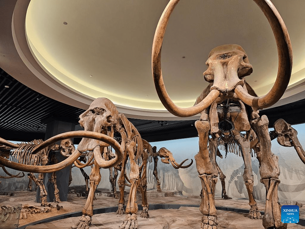 Digital museum brings prehistoric animals back to 