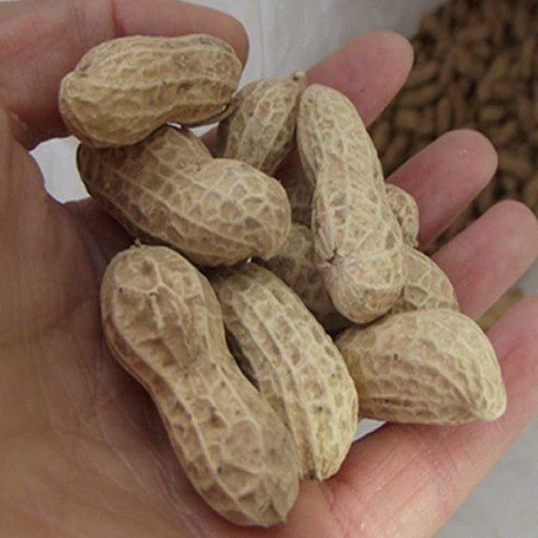 Yiyuan Peanuts-1