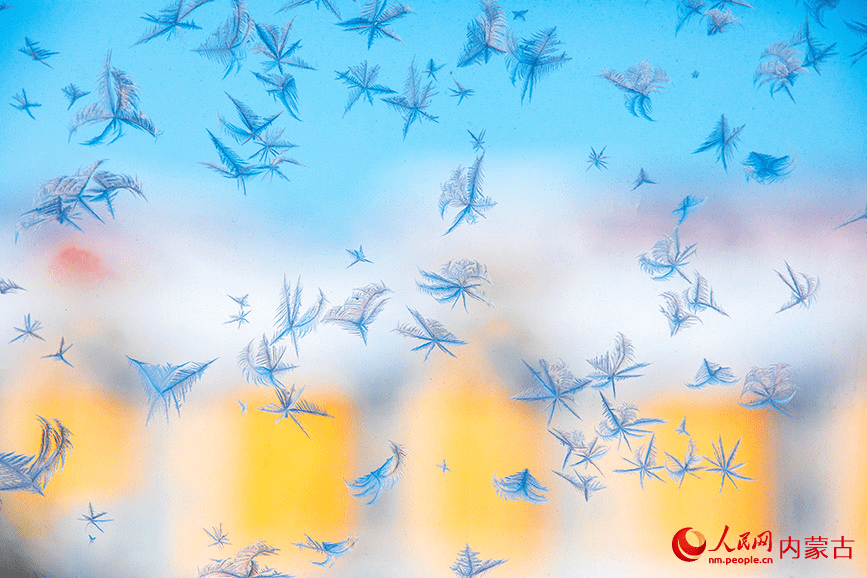 Winter's delicate artwork: Ice forms flower patterns on windows in N China-1