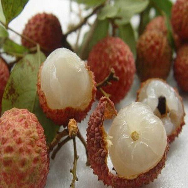 Huilai Lychee-1