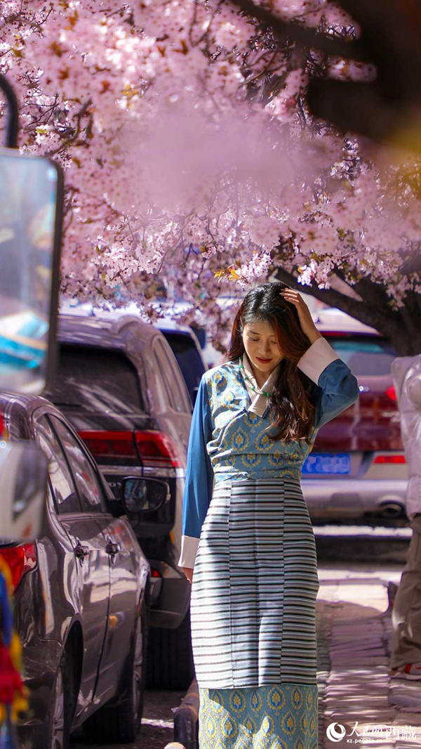 Peach blossoms attract tourists in SW China's Xizang-8