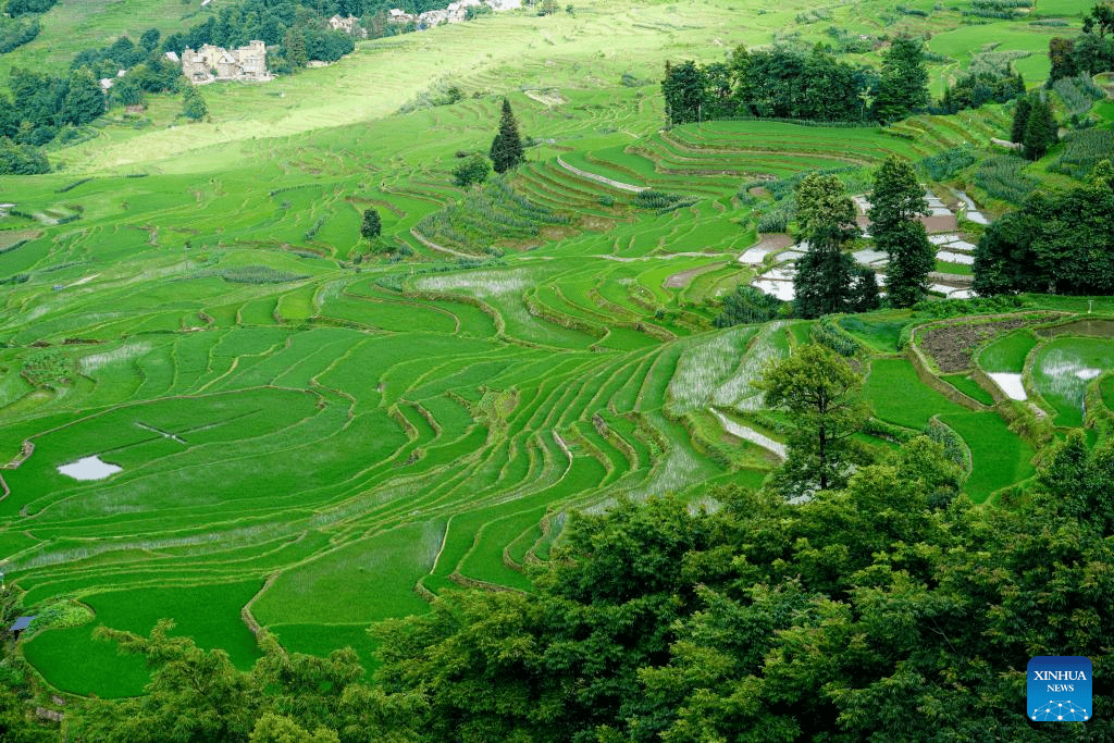 View of Hani terraced fields in Yunnan-3