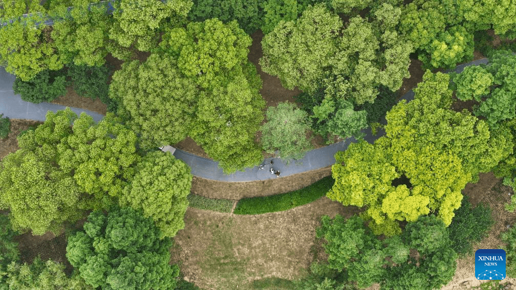 Scenic belt along river offers local people leisure space in E China-6